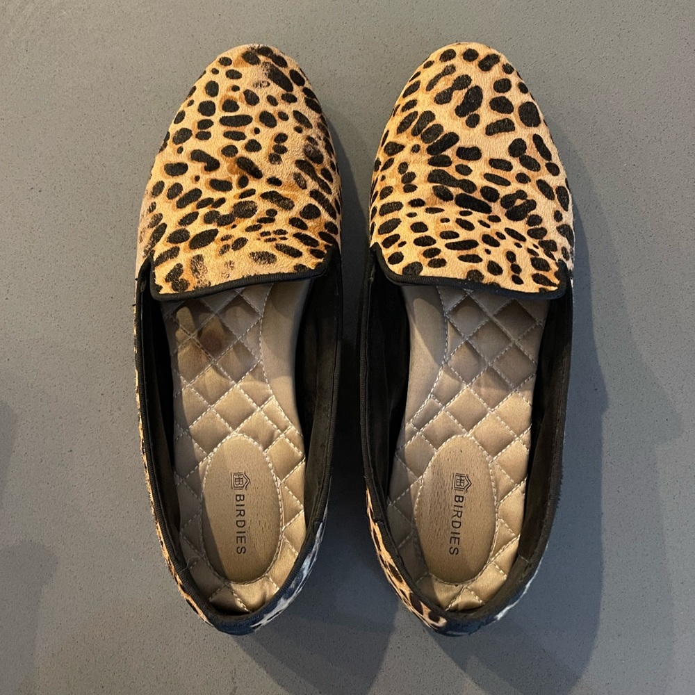 Cheetah Birdies Size 8 starling model